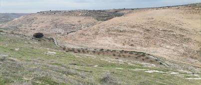 News Image 2